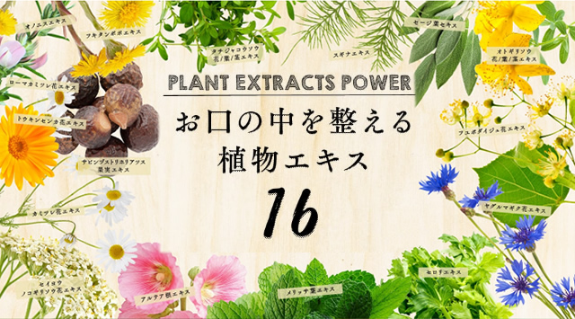 ブラントゥースのホワイトニング効果がある16種類の植物エキス